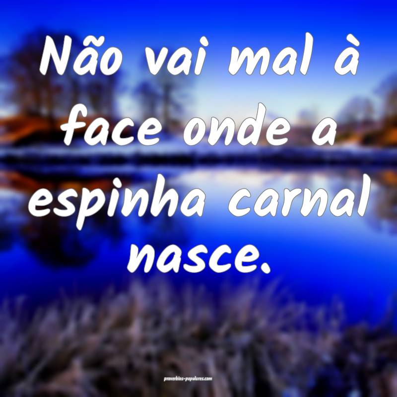 Não vai mal à face onde a espinha carnal nasce.
...