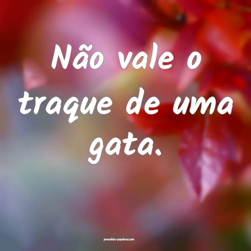 Não vale o traque de uma gata.
 ...