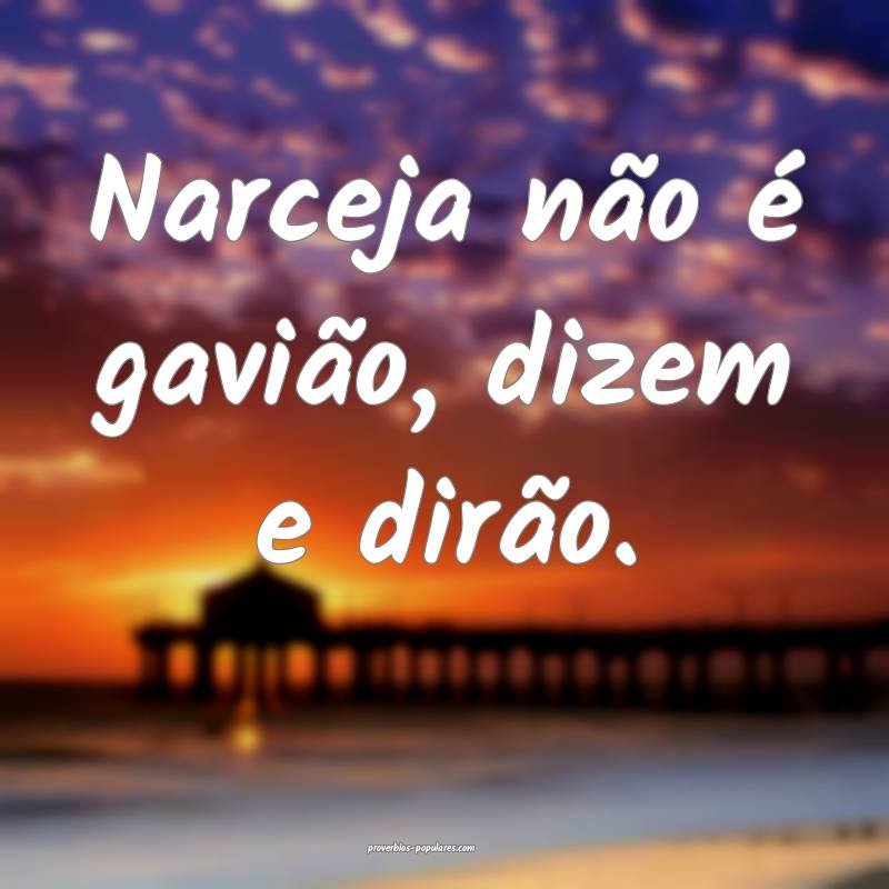 Narceja não é gavião, dizem e dirão.
...