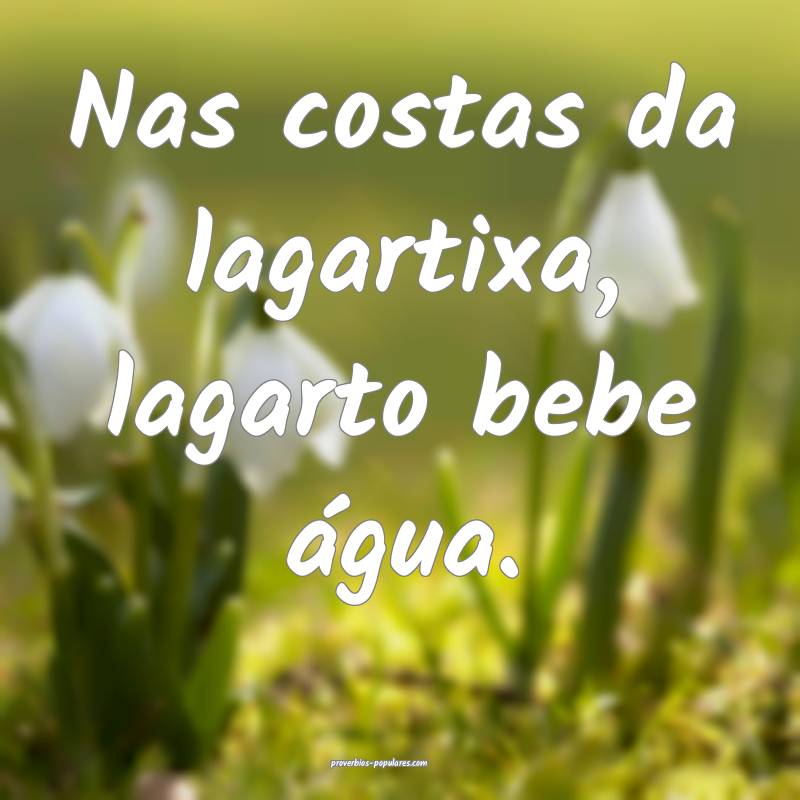 Nas costas da lagartixa, lagarto bebe água.
...