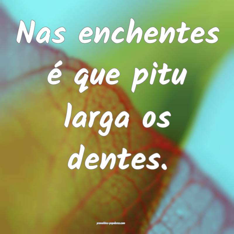 Nas enchentes é que pitu larga os dentes.
 ...