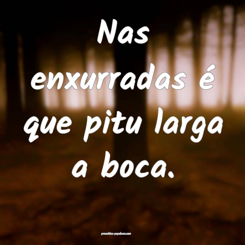 Nas enxurradas é que pitu larga a boca.
...