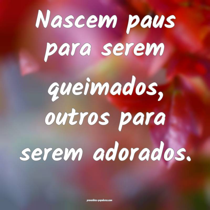 Nascem paus para serem queimados, outros para serem adorados.
...