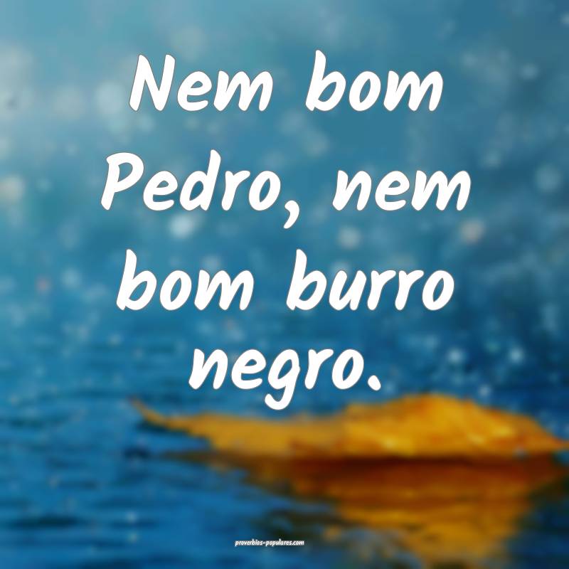 Nem bom Pedro, nem bom burro negro.
 ...