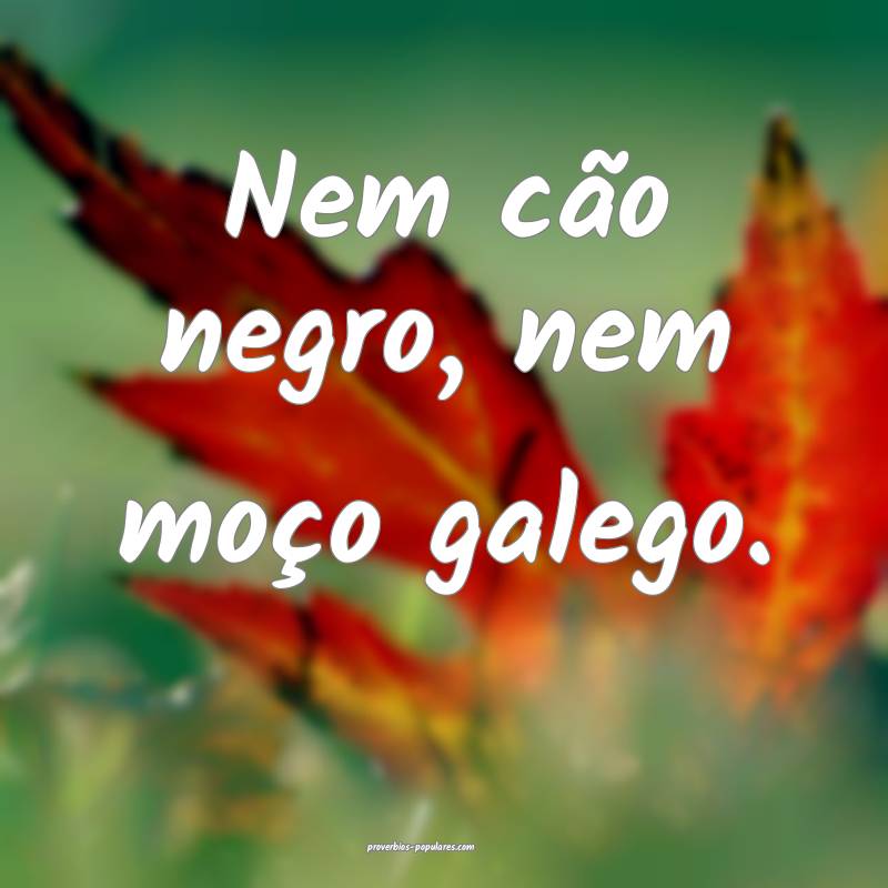 Nem cão negro, nem moço galego.
...