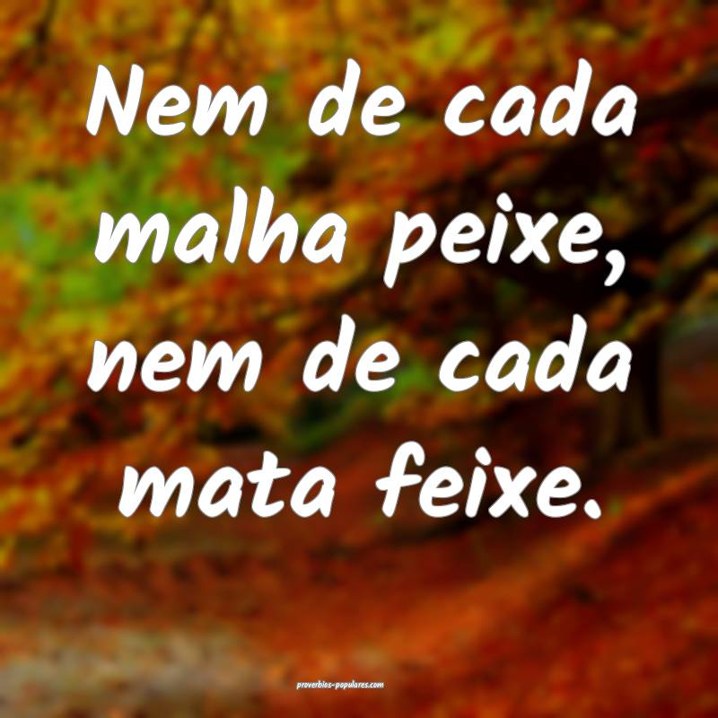 Nem de cada malha peixe, nem de cada mata feixe.
...