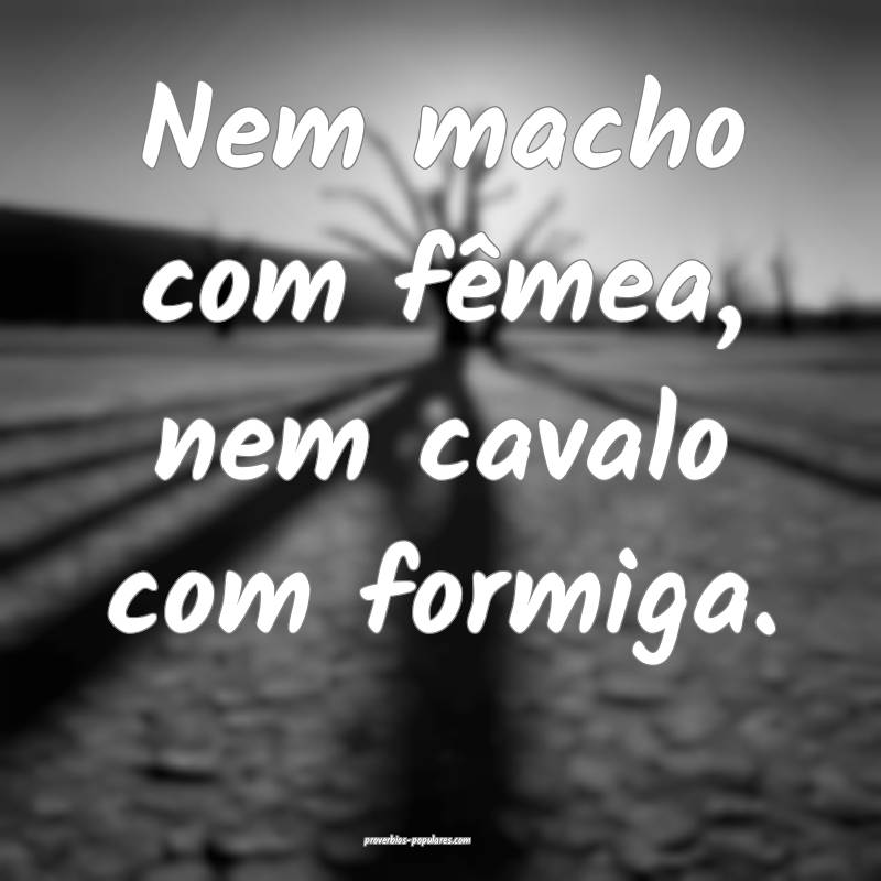Nem macho com fêmea, nem cavalo com formiga.
...