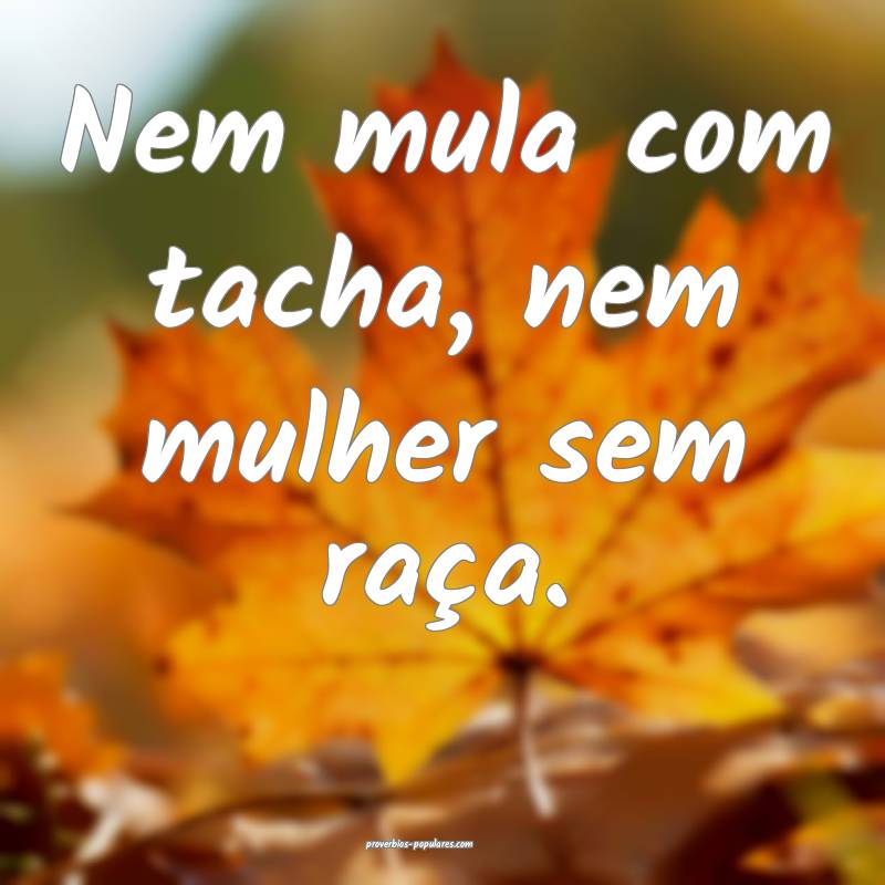 Nem mula com tacha, nem mulher sem raça.
...