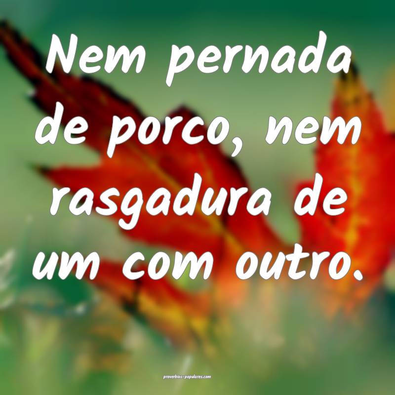 Nem pernada de porco, nem rasgadura de um com outr ...