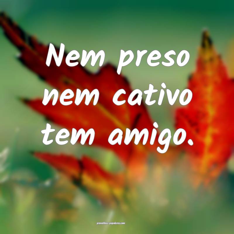 Nem preso nem cativo tem amigo.
...