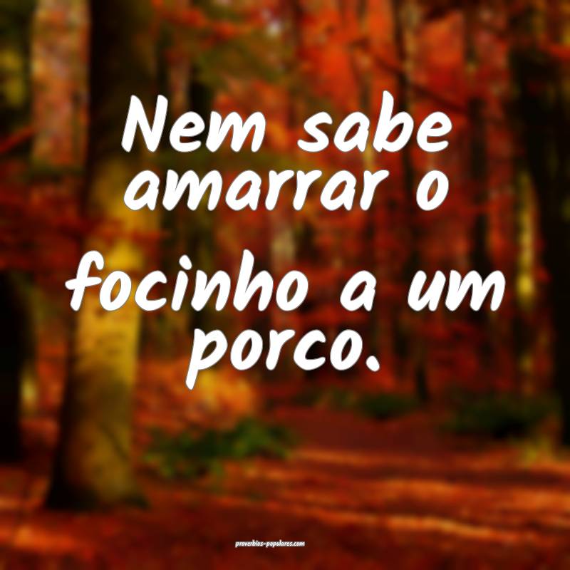 Nem sabe amarrar o focinho a um porco.
...