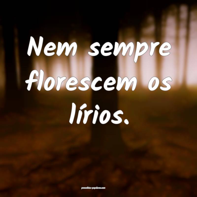 Nem sempre florescem os lírios.
 ...