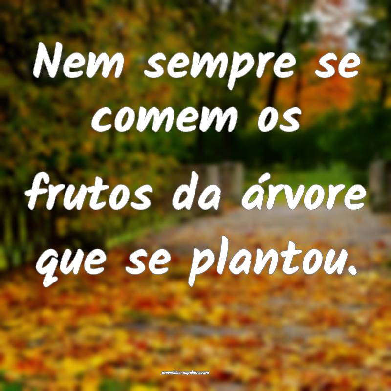 Nem sempre se comem os frutos da árvore que se plantou.
...