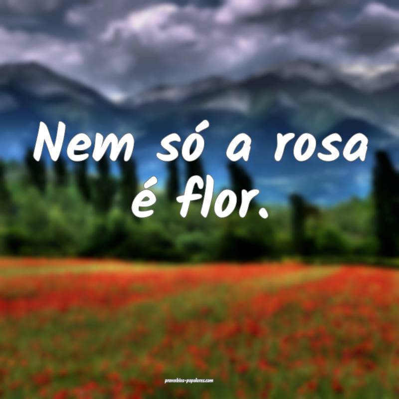 Nem só a rosa é flor.
...