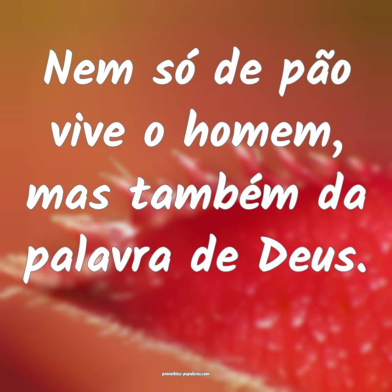 Nem só de pão vive o homem, mas também da palavra de Deus.
...