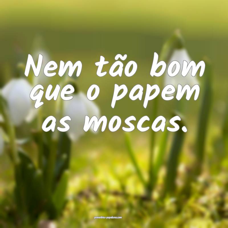 Nem tão bom que o papem as moscas.
...