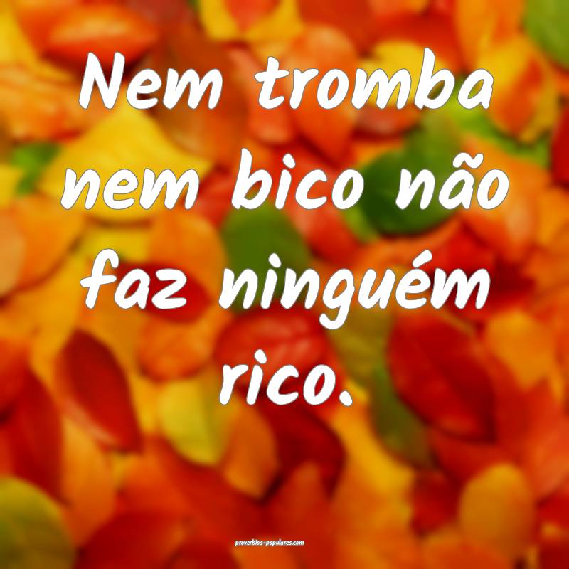 Nem tromba nem bico não faz ninguém rico.
...