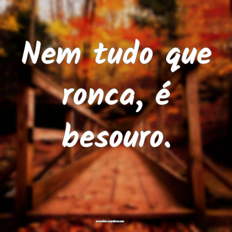 Nem tudo que ronca, é besouro.
...