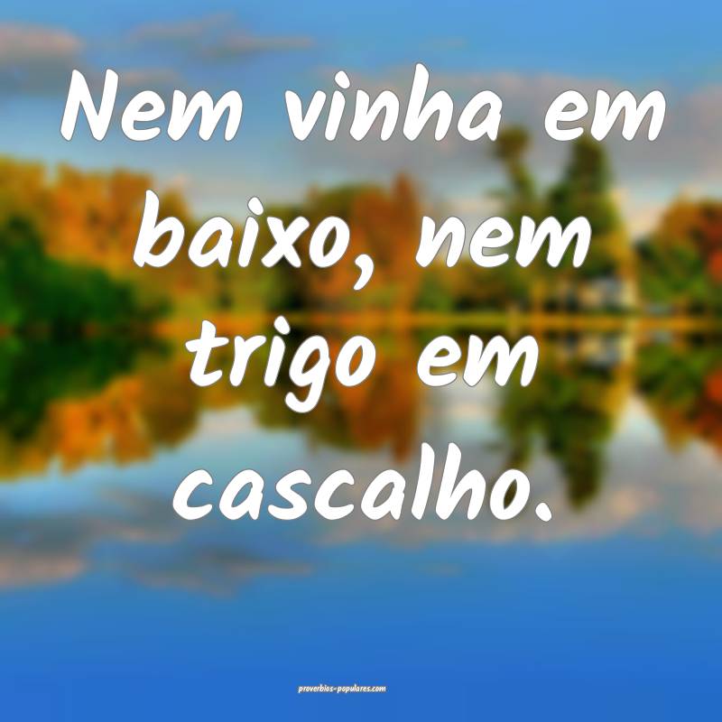 Nem vinha em baixo, nem trigo em cascalho.
 ...