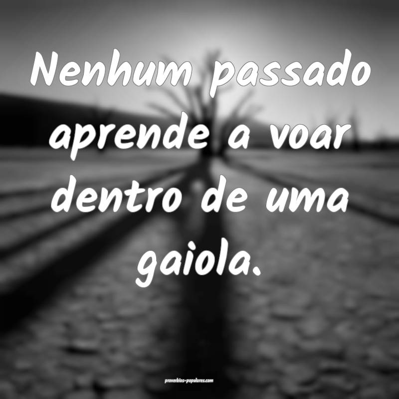 Nenhum passado aprende a voar dentro de uma gaiola.
...