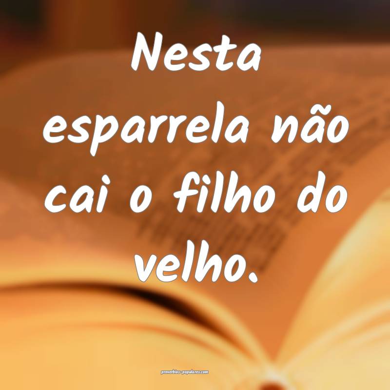 Nesta esparrela não cai o filho do velho.
 ...