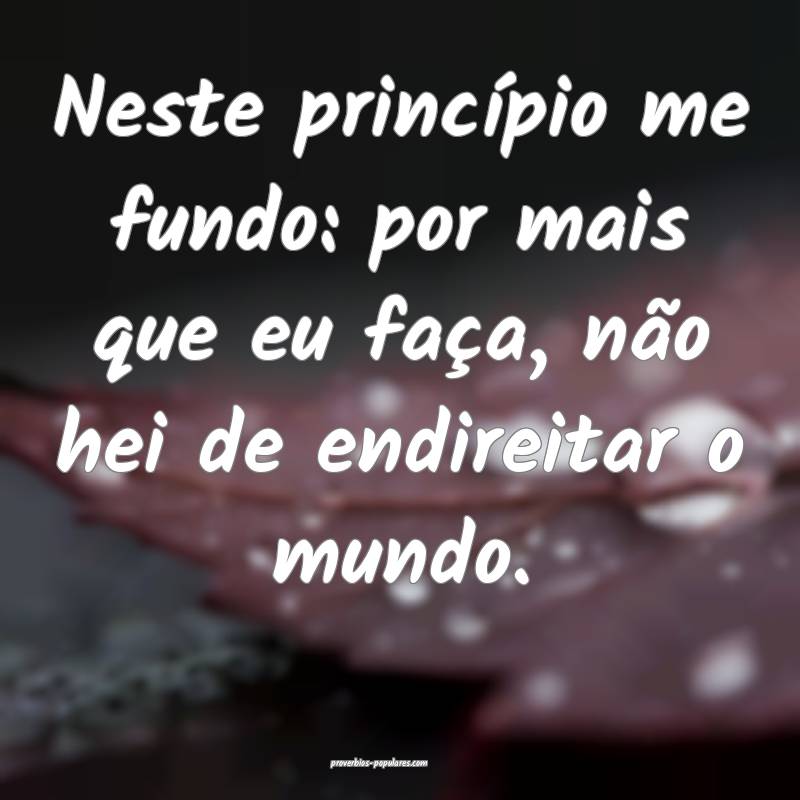 Neste princípio me fundo: por mais que eu faça, não hei de endireit...