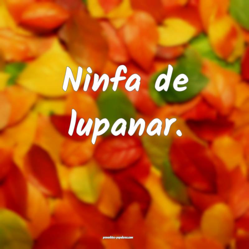 Ninfa de lupanar.
 ...
