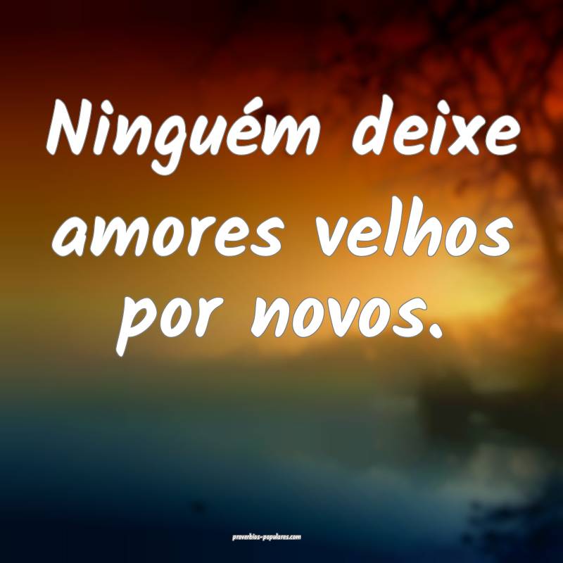 Ninguém deixe amores velhos por novos.
...
