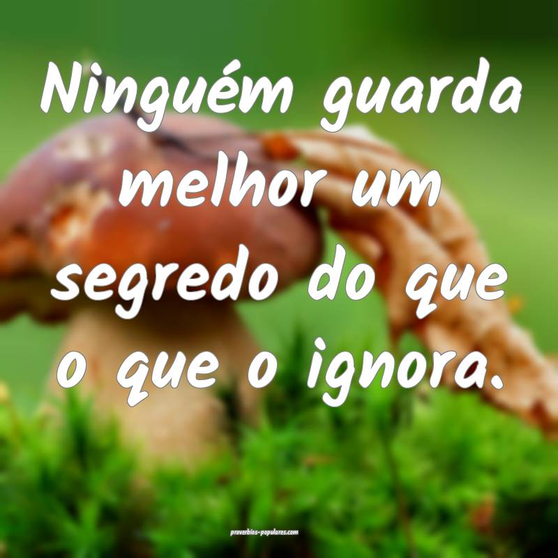 Ninguém guarda melhor um segredo do que o que o ignora.
...