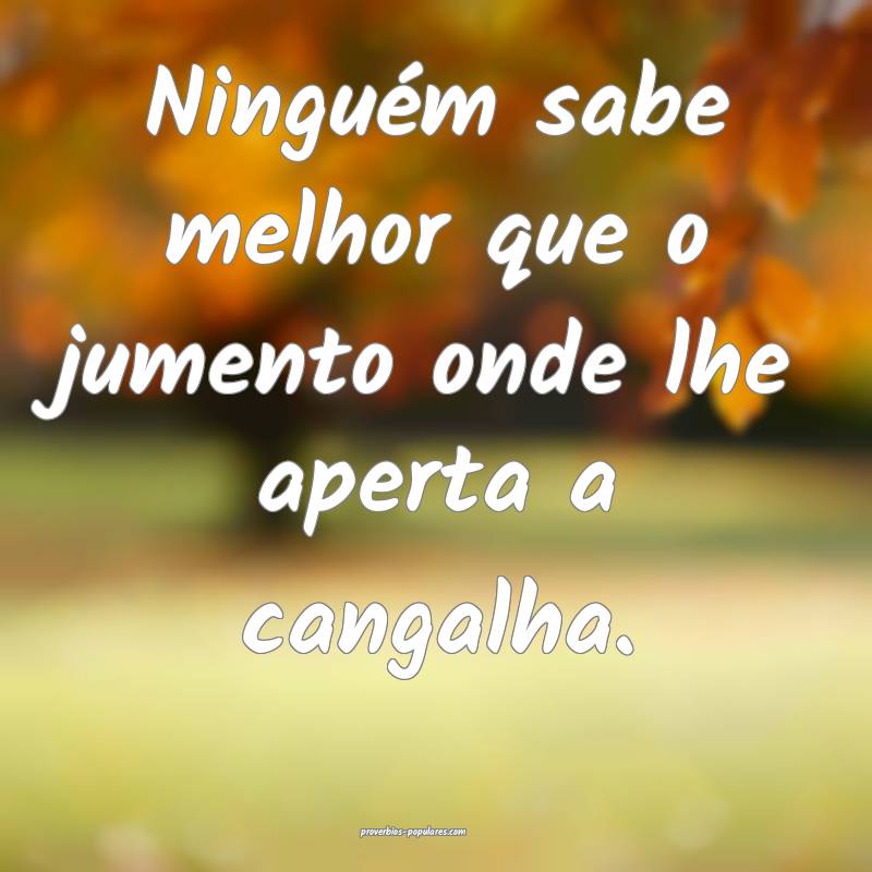 Ninguém sabe melhor que o jumento onde lhe aperta a cangalha.
...