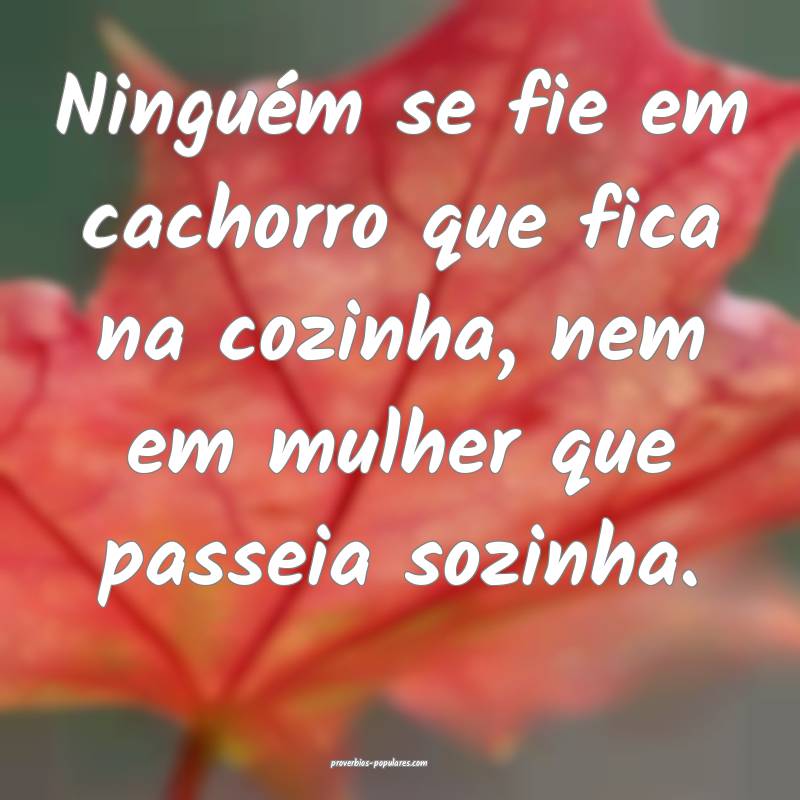 Ninguém se fie em cachorro que fica na cozinha, nem em mulher que pas...