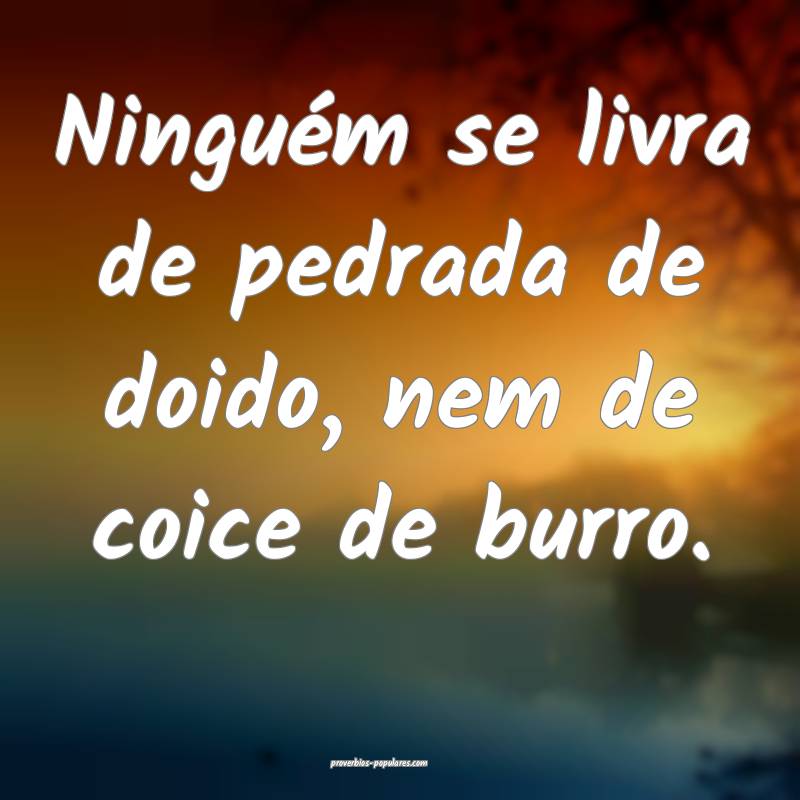Ninguém se livra de pedrada de doido, nem de coice de burro.
...