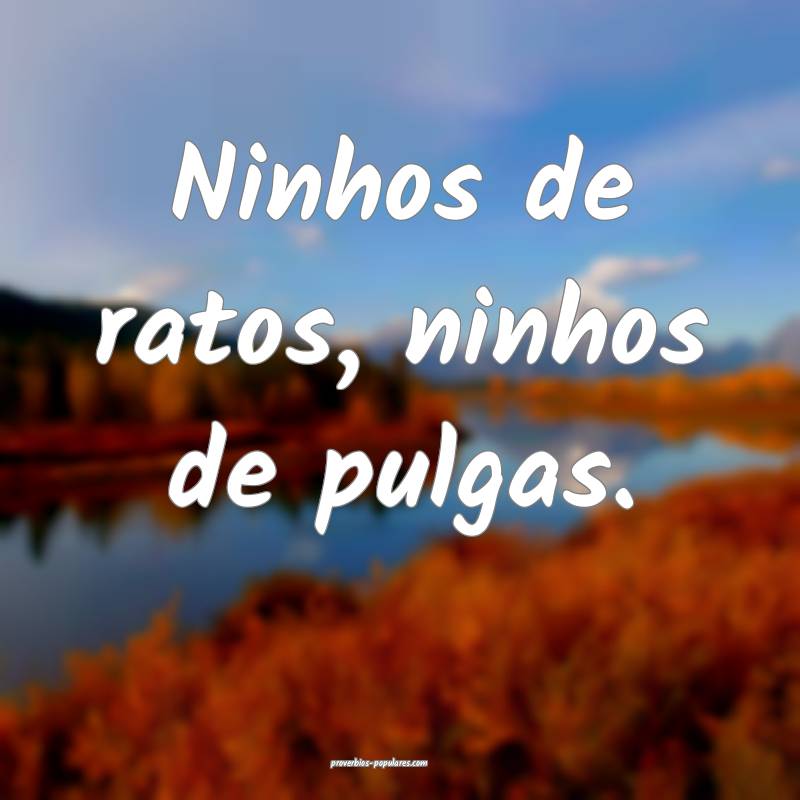 Ninhos de ratos, ninhos de pulgas.
...