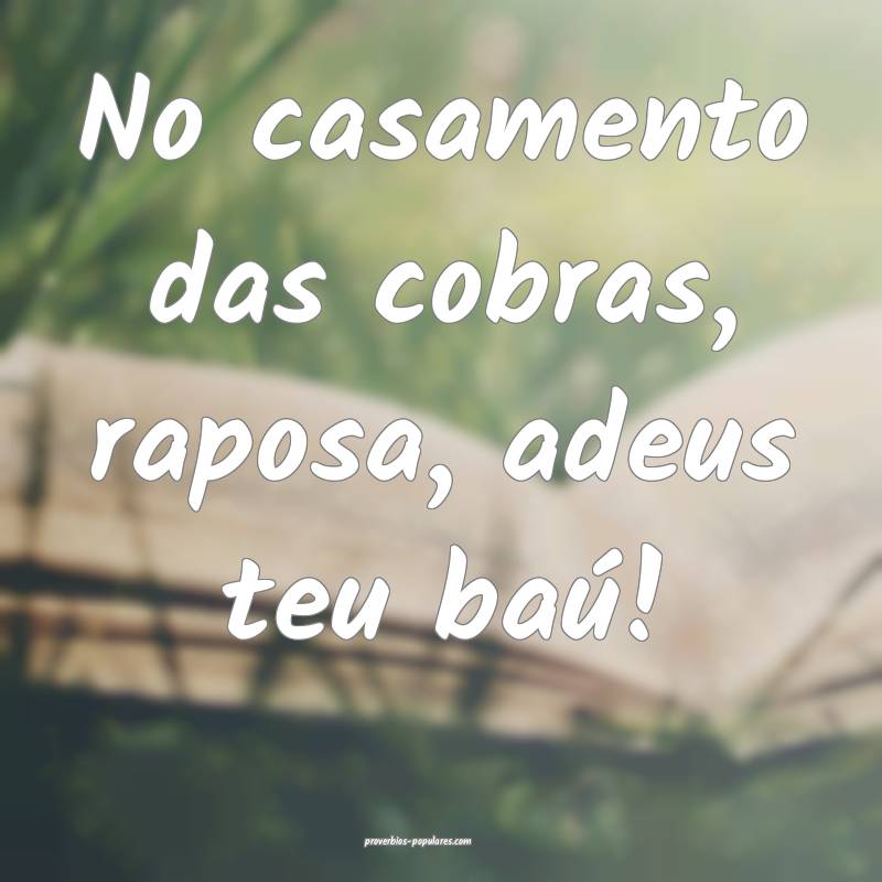 No casamento das cobras, raposa, adeus teu baú!
...