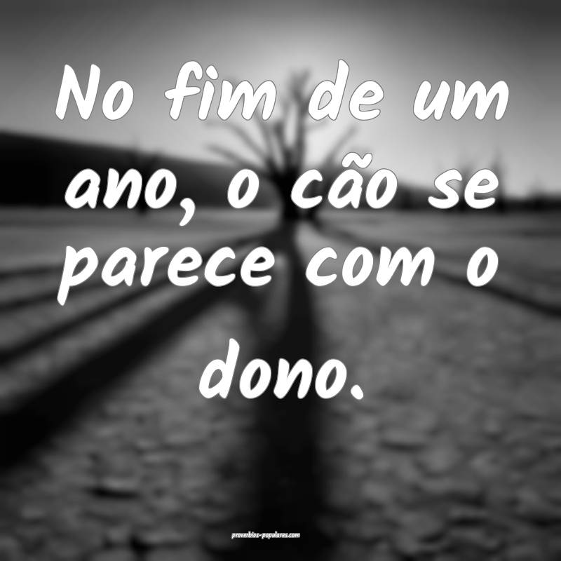 No fim de um ano, o cão se parece com o dono.
...