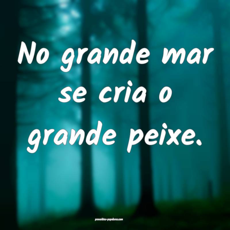 No grande mar se cria o grande peixe.
...