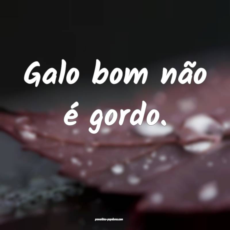Galo bom não é gordo.
...