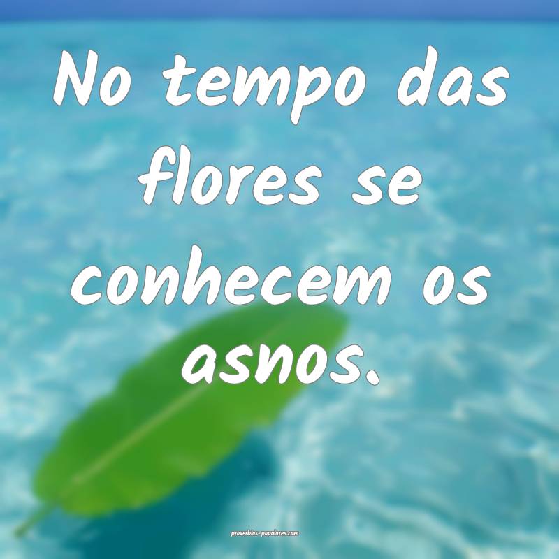 No tempo das flores se conhecem os asnos.
 ...