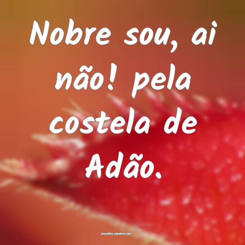 Nobre sou, ai não! pela costela de Adão.
 ...