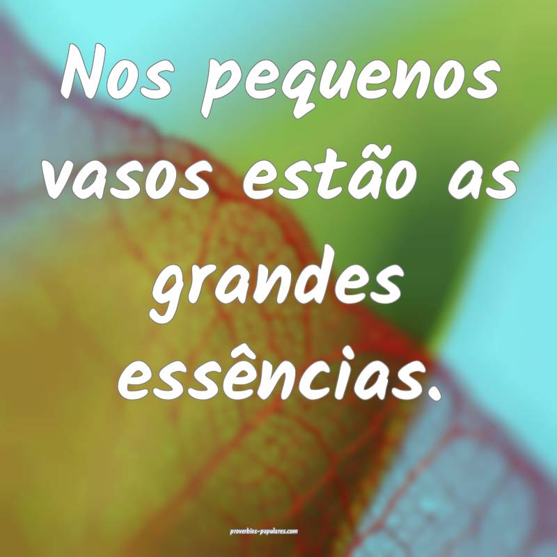 Nos pequenos vasos estão as grandes essências.
...