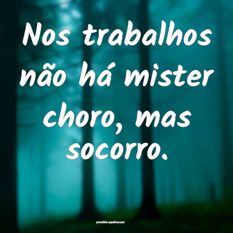 Nos trabalhos não há mister choro, mas socorro.
 ...