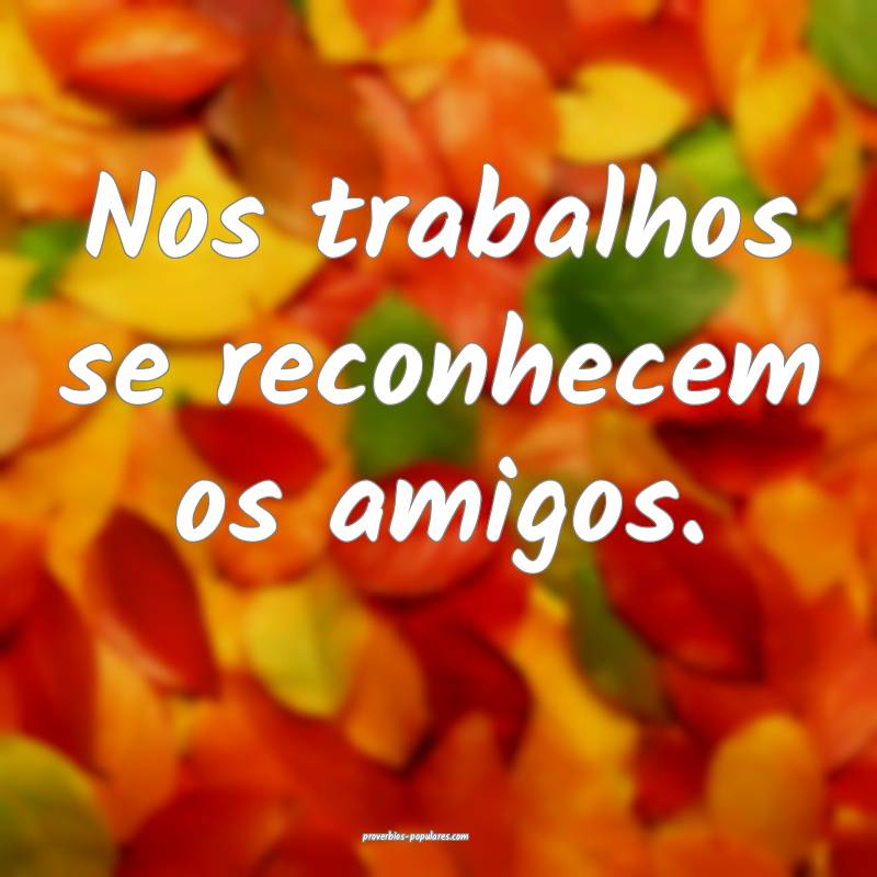 Nos trabalhos se reconhecem os amigos.
...
