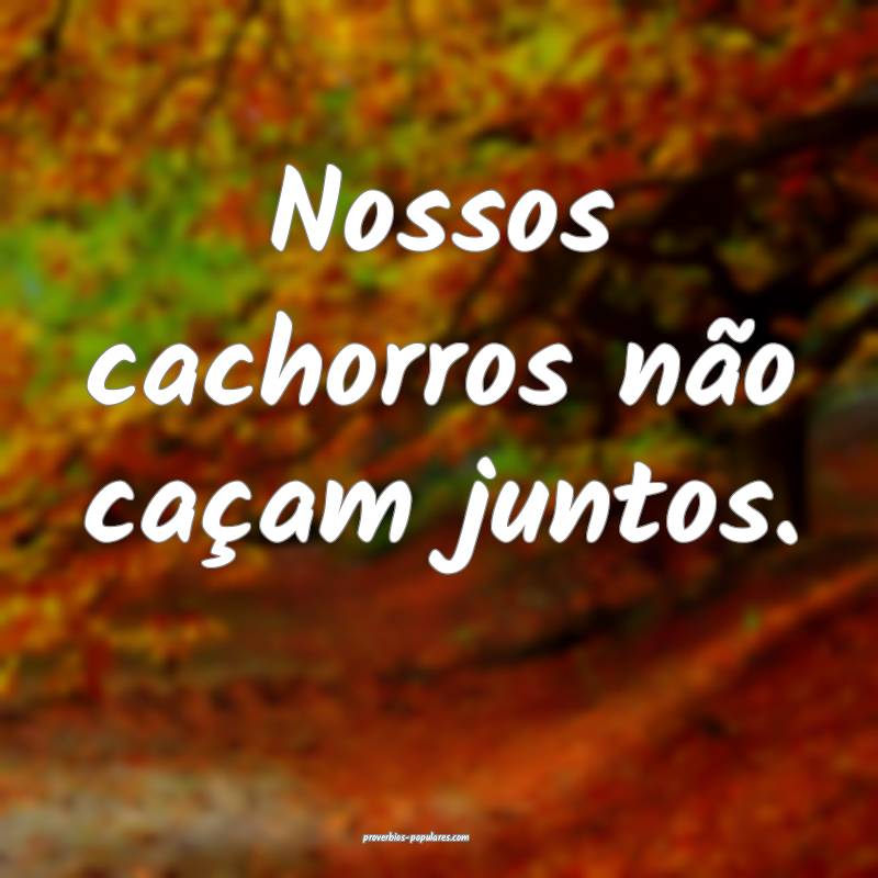 Nossos cachorros não caçam juntos.
...