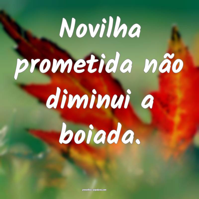 Novilha prometida não diminui a boiada.
...