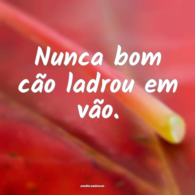 Nunca bom cão ladrou em vão.
 ...