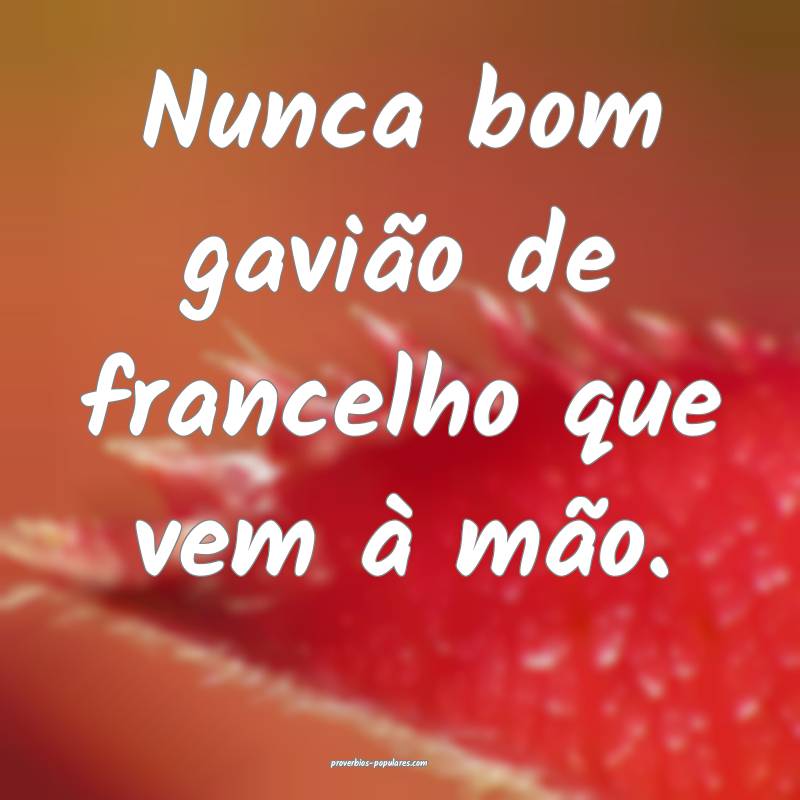 Nunca bom gavião de francelho que vem à mão.
...