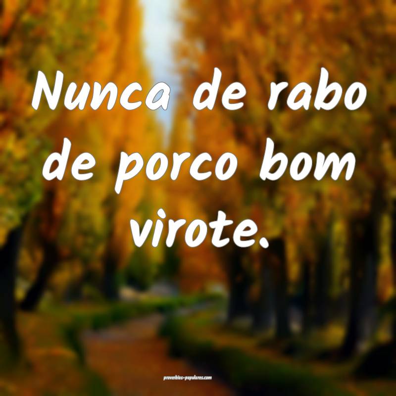 Nunca de rabo de porco bom virote.
...
