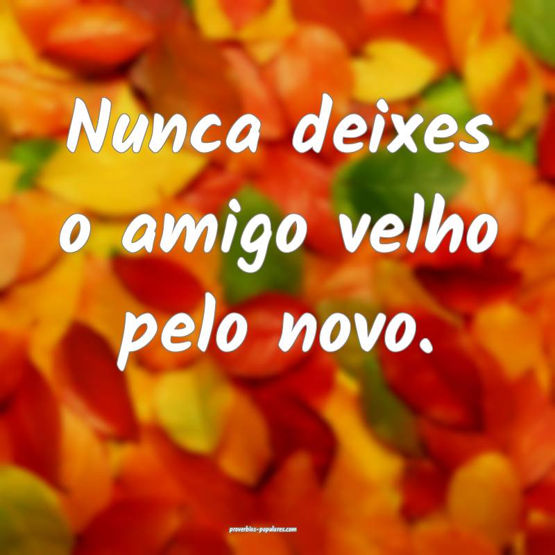 Nunca deixes o amigo velho pelo novo.
...