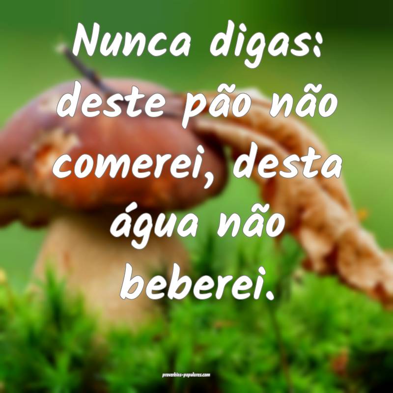 Nunca digas: deste pão não comerei, desta água  ...