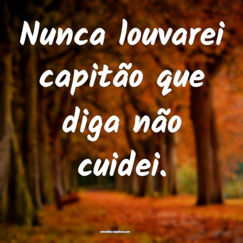Nunca louvarei capitão que diga não cuidei.
...